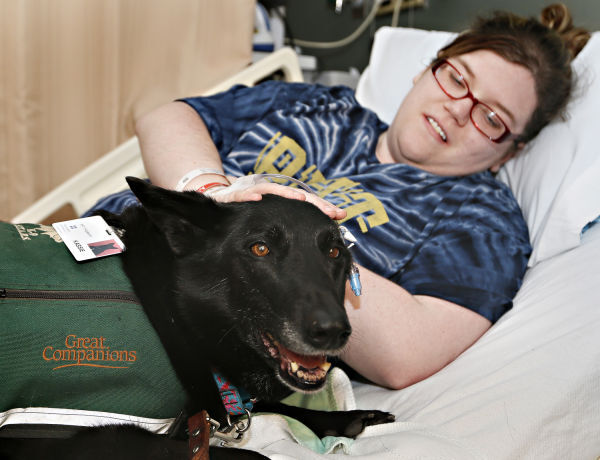 K-9 STARS Therapy Dogs